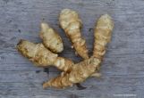 Jerusalem Artichoke, White - 5 tubers